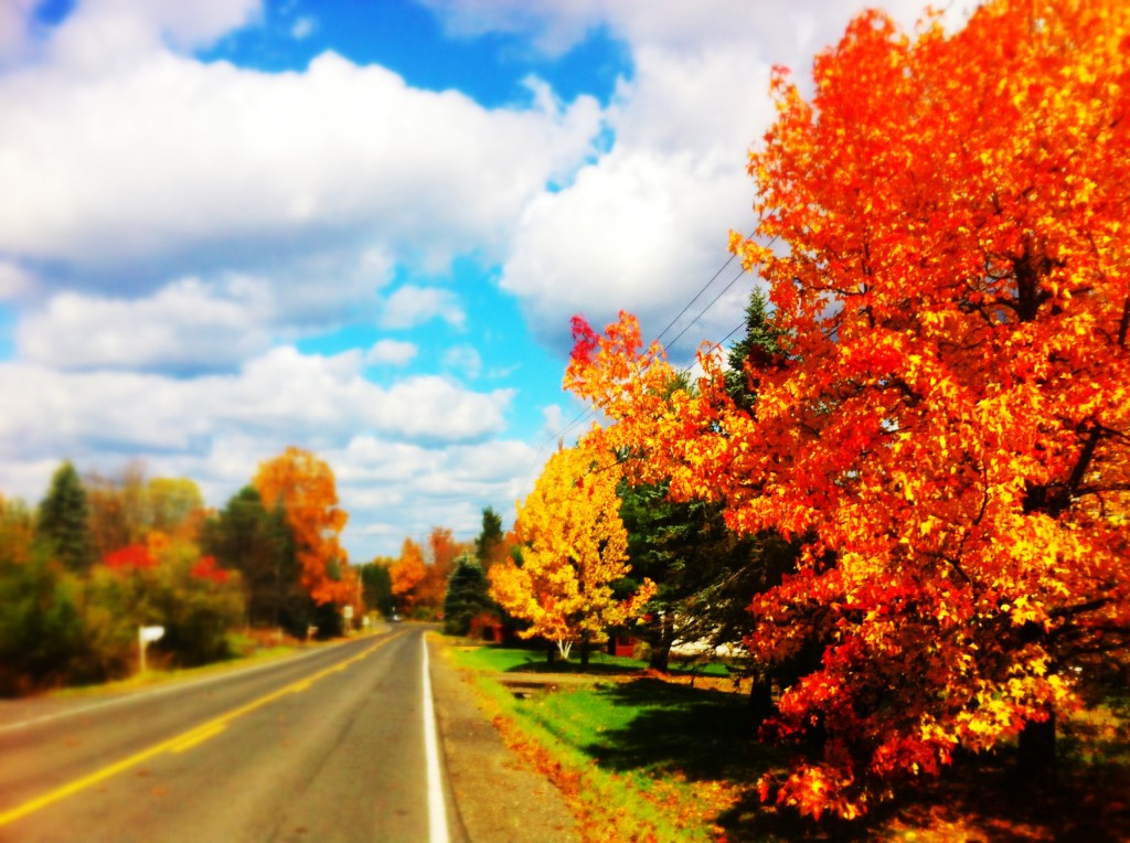 Autumn Run
