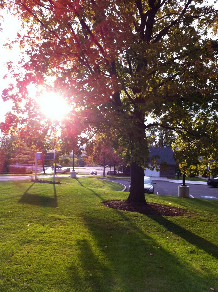 I Love Fall