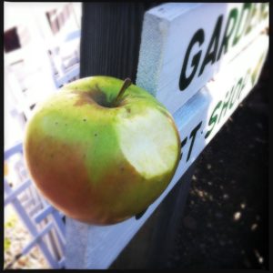 Apple Picking