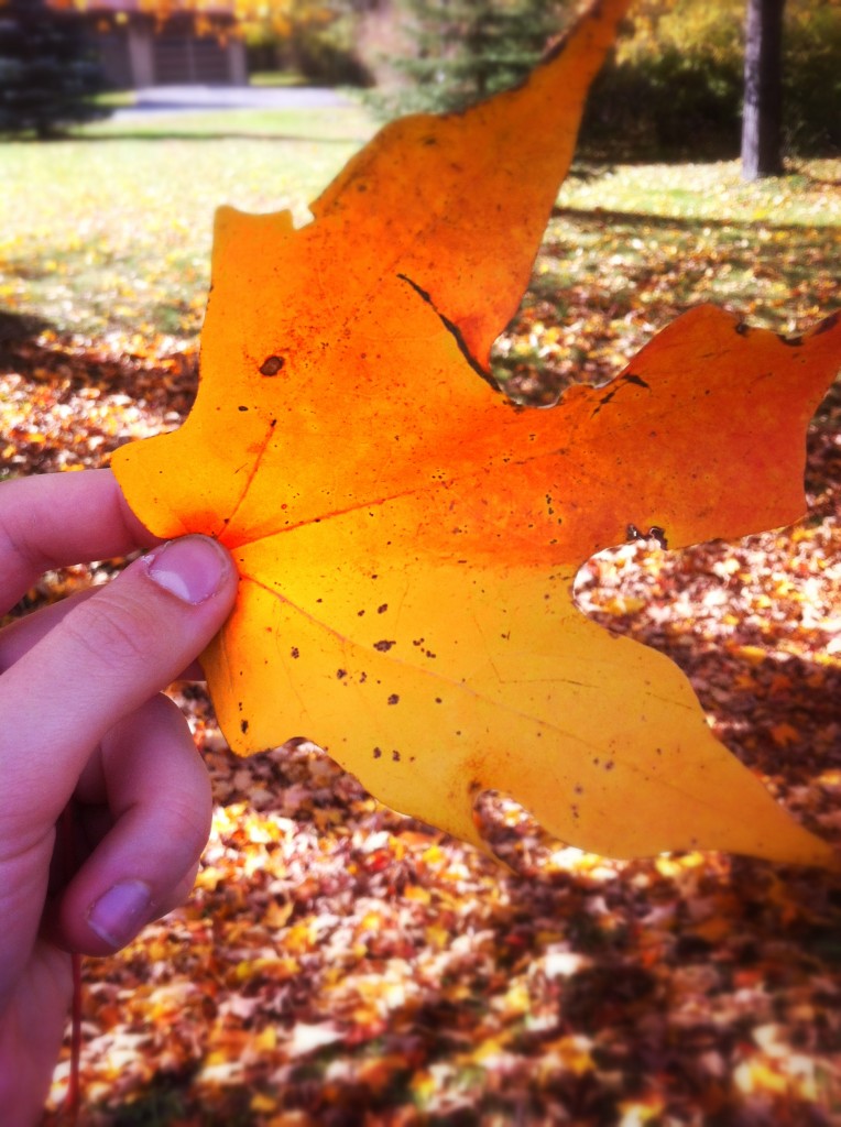 Golden Leaf
