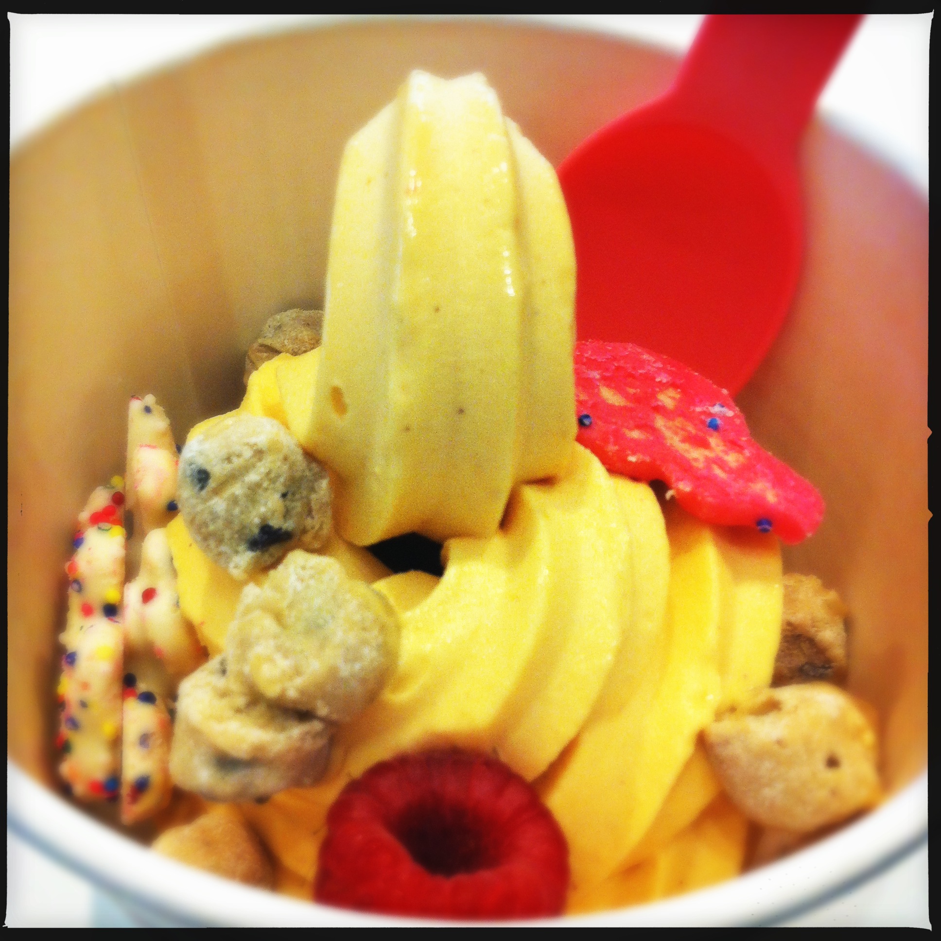 Pumpkin Froyo. If I can't have this then... what's the point?