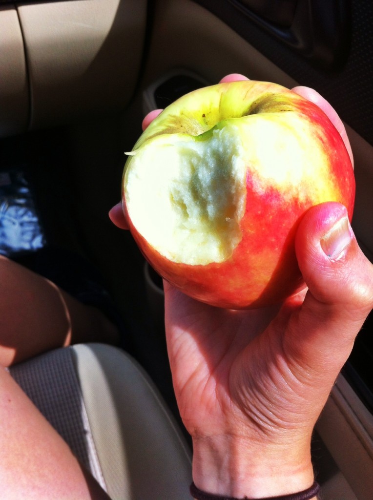 Pink Lady Apple