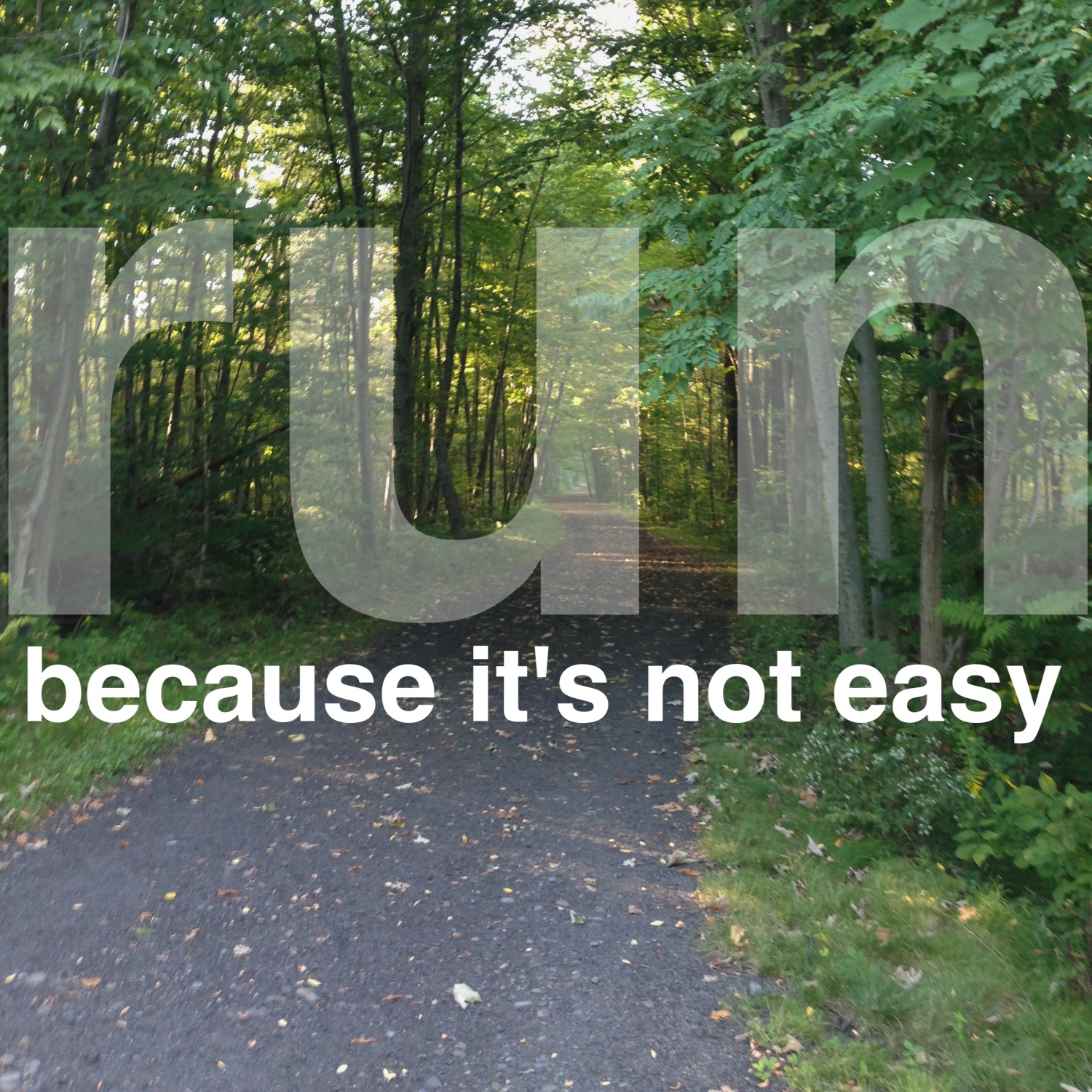 How to Annoy a Runner