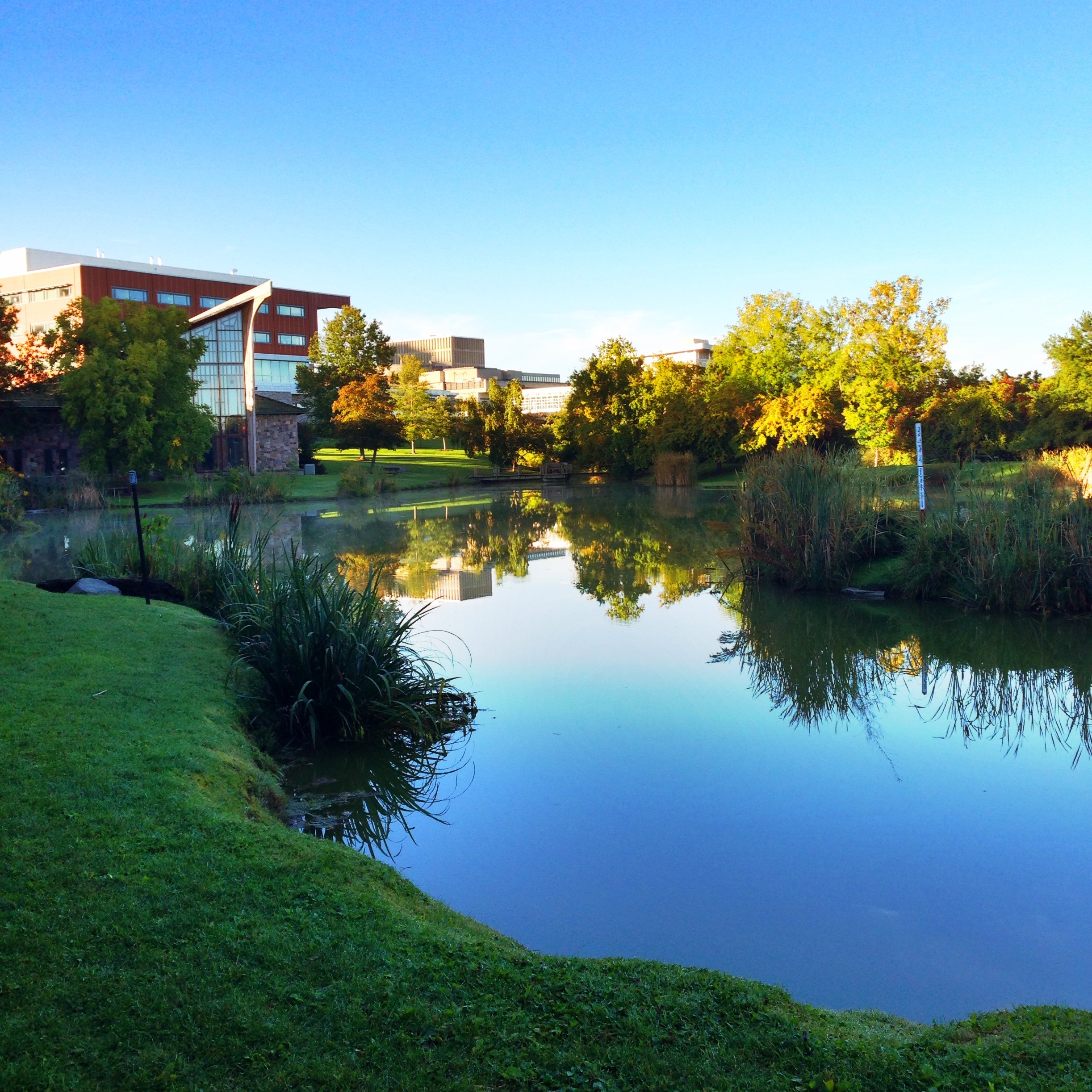 Morning Reflections