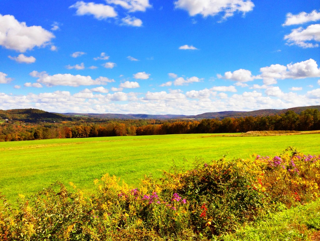 Long Run Ithaca