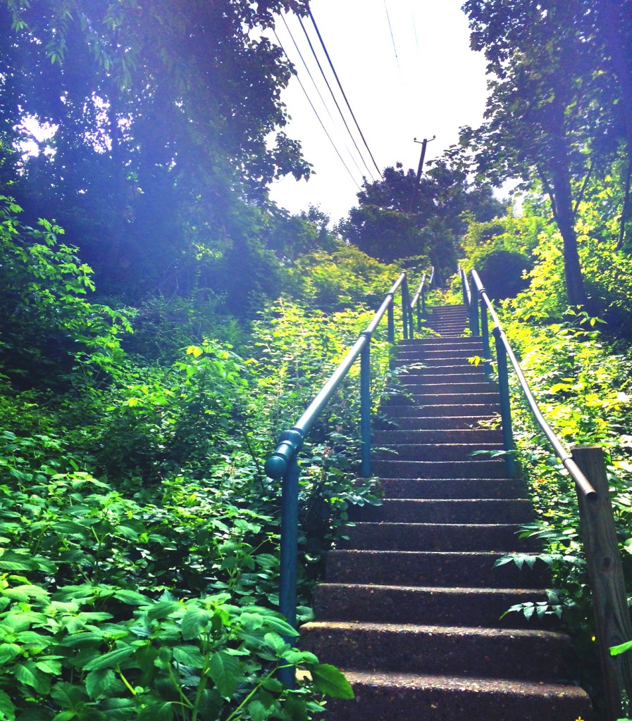 Long Run