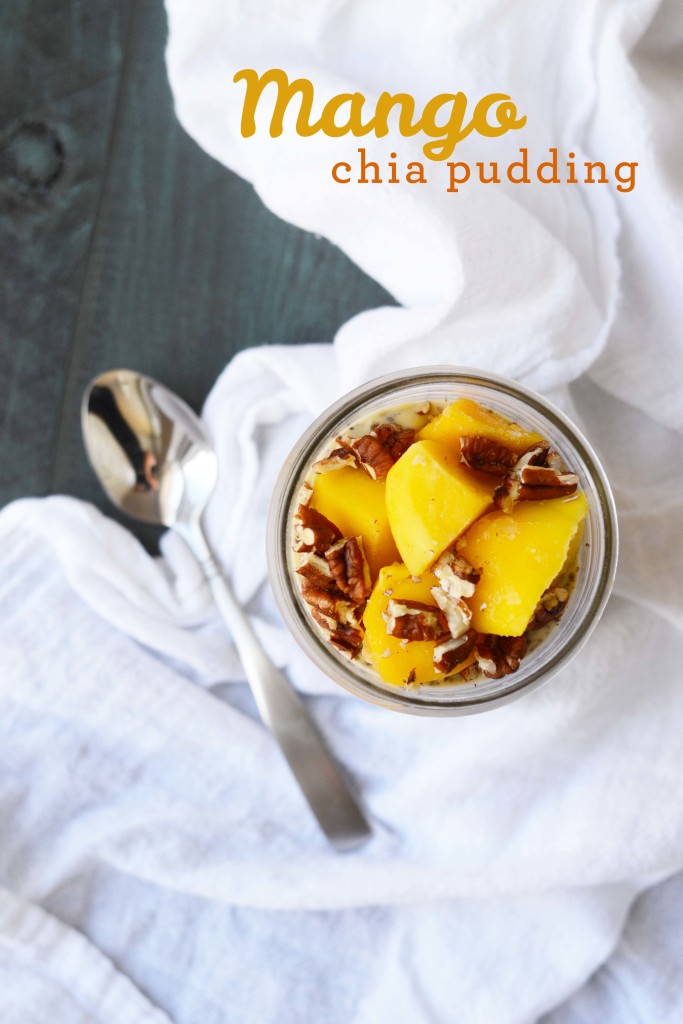 mangochiapudding9