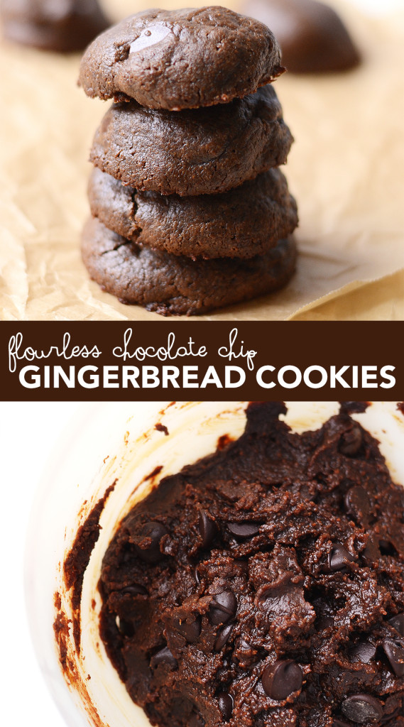 These Flourless Chocolate Chip Gingerbread Cookies will absolutely melt in your mouth, but the best part is how easy they are to make!
