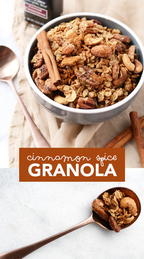 cinnamonspicegranolaPIN