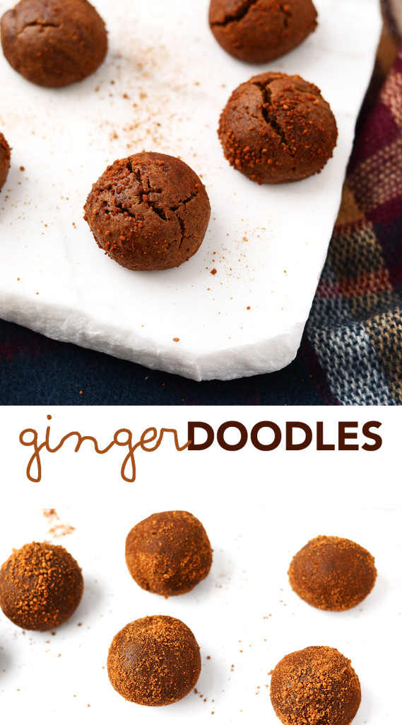 Gingerdoodles - The Holiday Cookie Exchange