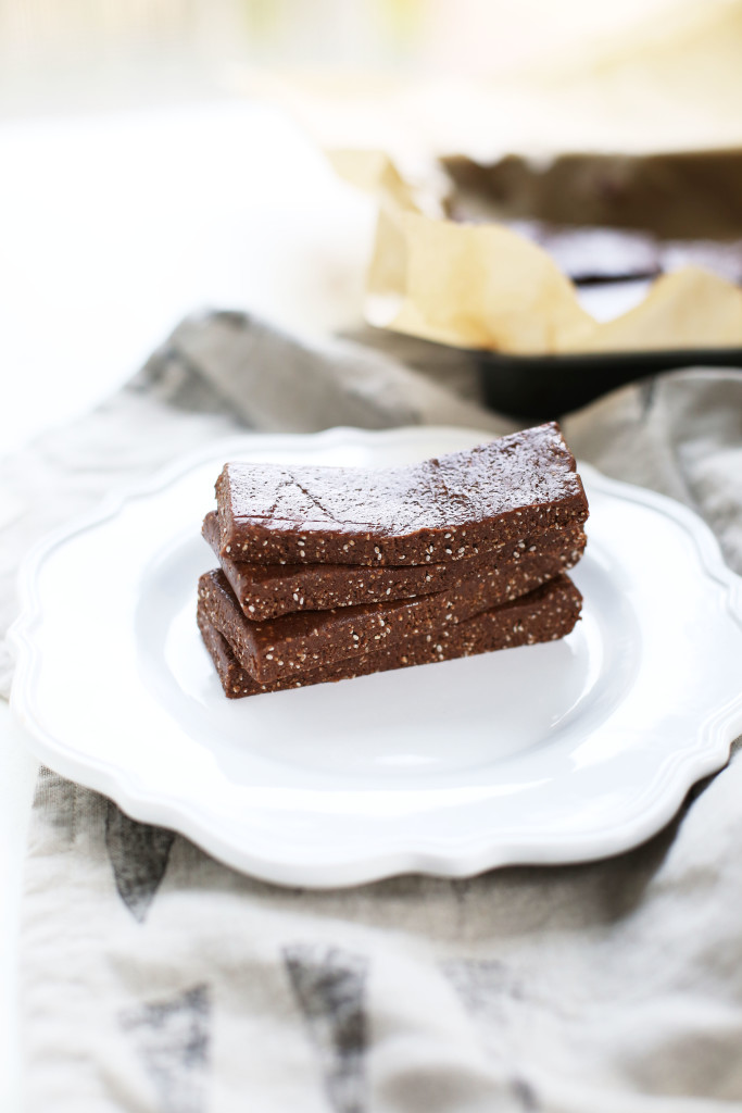 Chocolate Peanut Butter Protein Bars (vegan & gluten-free)