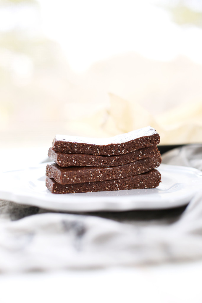 Chocolate Peanut Butter Protein Bars (vegan & gluten-free)