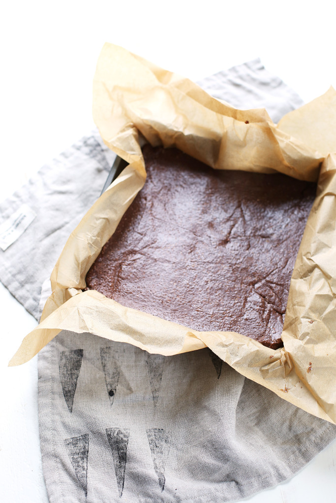 Chocolate Peanut Butter Protein Bars (vegan & gluten-free)